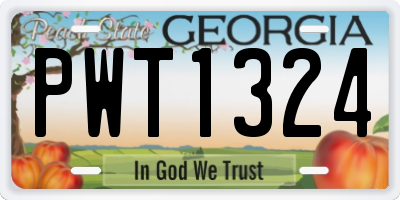 GA license plate PWT1324