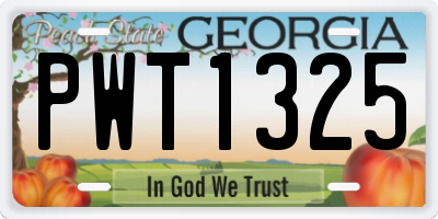 GA license plate PWT1325