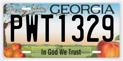 GA license plate PWT1329