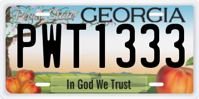 GA license plate PWT1333