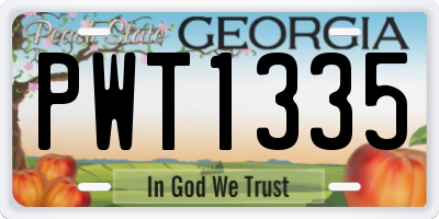GA license plate PWT1335