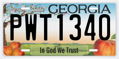GA license plate PWT1340