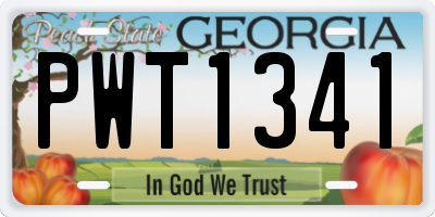 GA license plate PWT1341