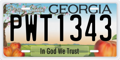 GA license plate PWT1343