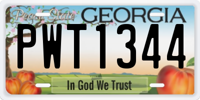 GA license plate PWT1344