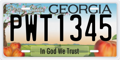GA license plate PWT1345