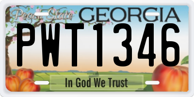 GA license plate PWT1346