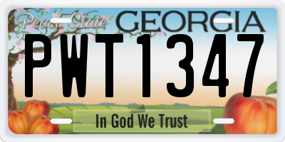 GA license plate PWT1347
