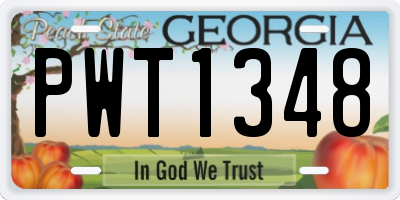 GA license plate PWT1348