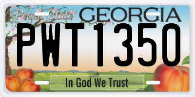 GA license plate PWT1350