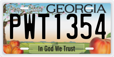 GA license plate PWT1354