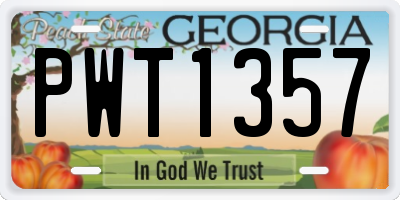 GA license plate PWT1357