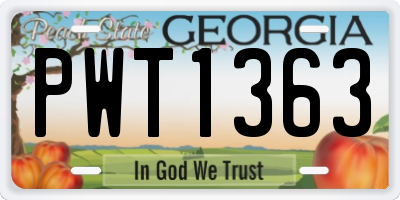GA license plate PWT1363