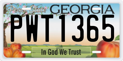 GA license plate PWT1365