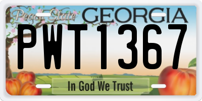 GA license plate PWT1367