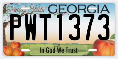 GA license plate PWT1373
