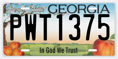 GA license plate PWT1375