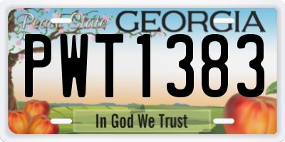 GA license plate PWT1383