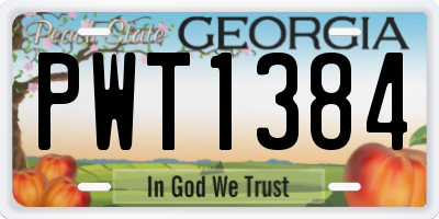 GA license plate PWT1384