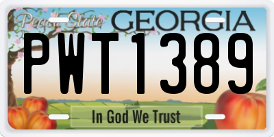 GA license plate PWT1389