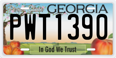 GA license plate PWT1390