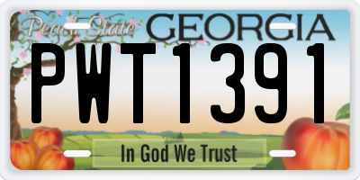 GA license plate PWT1391