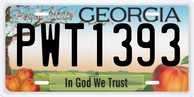 GA license plate PWT1393