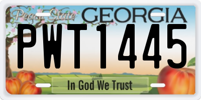 GA license plate PWT1445