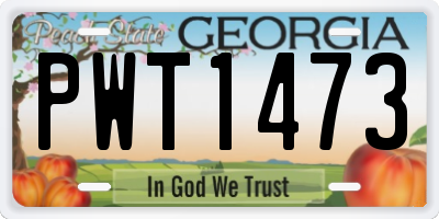GA license plate PWT1473