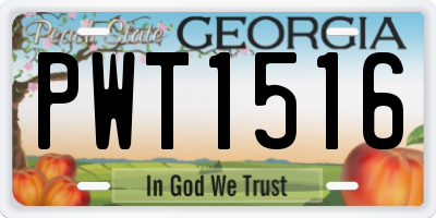 GA license plate PWT1516
