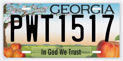 GA license plate PWT1517
