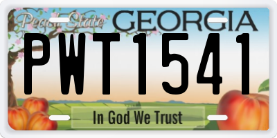 GA license plate PWT1541