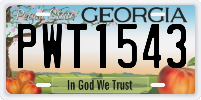 GA license plate PWT1543