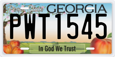 GA license plate PWT1545