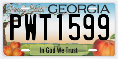 GA license plate PWT1599