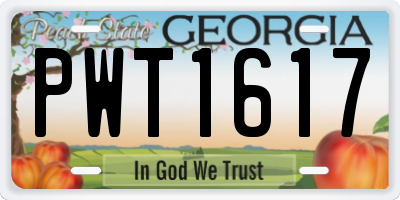 GA license plate PWT1617