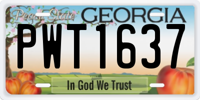 GA license plate PWT1637
