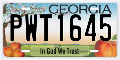 GA license plate PWT1645