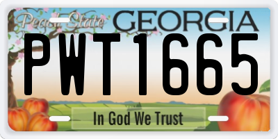GA license plate PWT1665