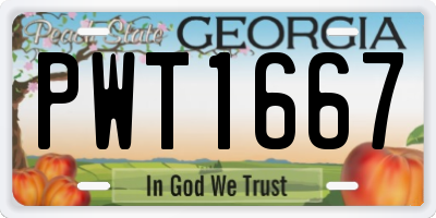 GA license plate PWT1667