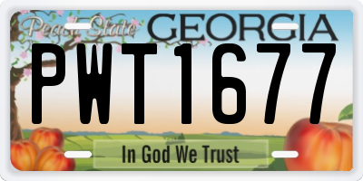GA license plate PWT1677