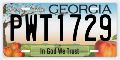 GA license plate PWT1729