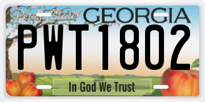 GA license plate PWT1802