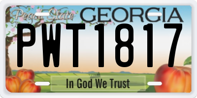 GA license plate PWT1817