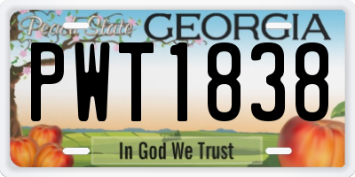 GA license plate PWT1838