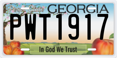 GA license plate PWT1917