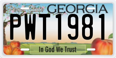 GA license plate PWT1981