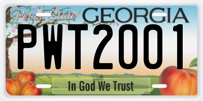 GA license plate PWT2001