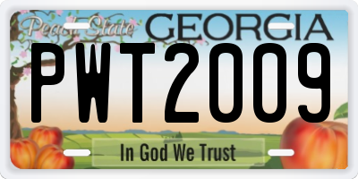 GA license plate PWT2009