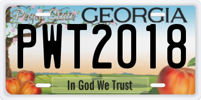 GA license plate PWT2018